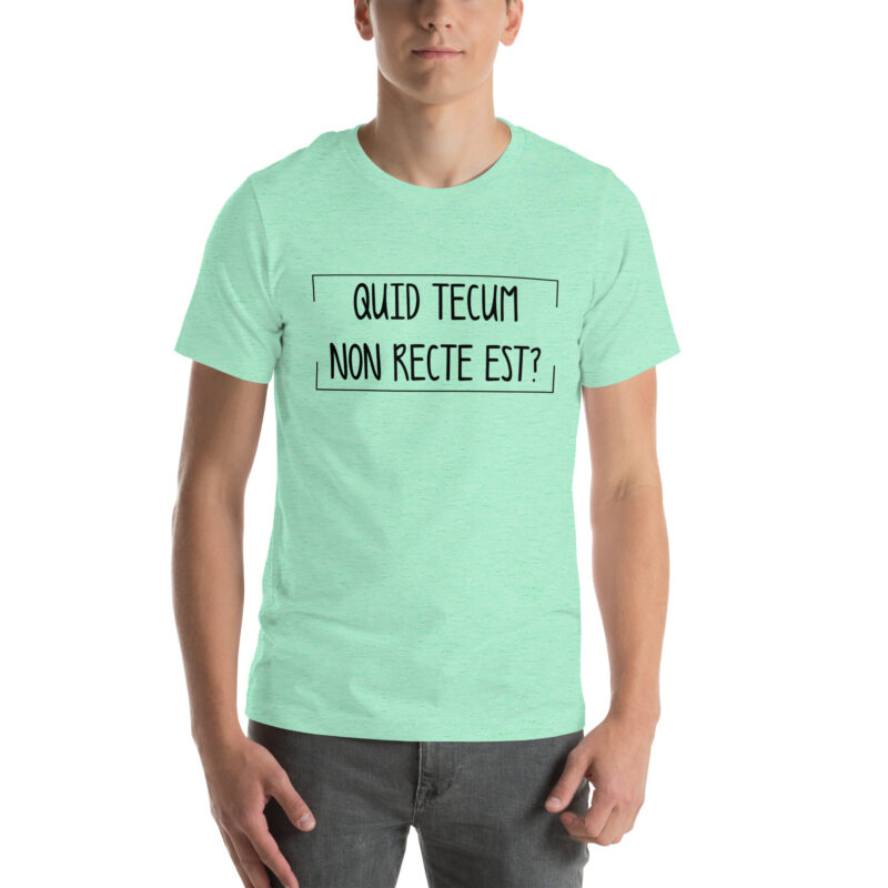 Quid Tecum Non recte est? Unisex-T-Shirt – T-Shirts – klamottn.de