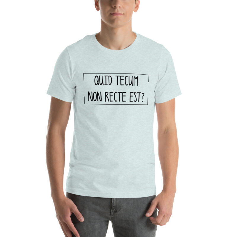 Quid Tecum Non recte est? Unisex-T-Shirt – T-Shirts – klamottn.de