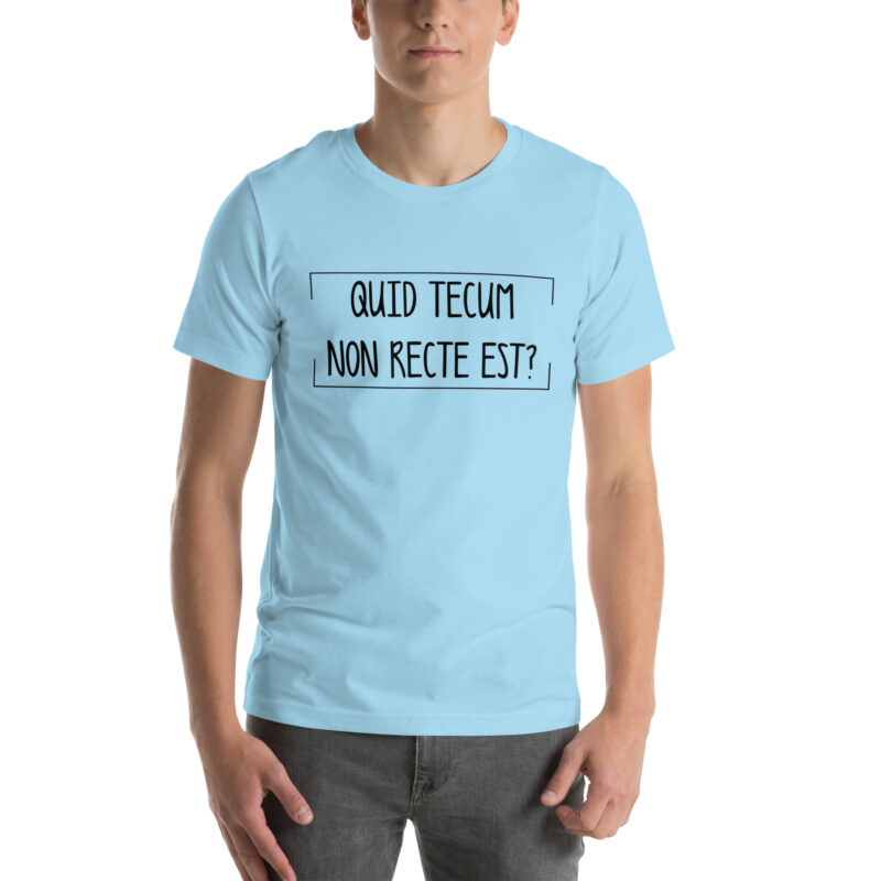 Quid Tecum Non recte est? Unisex-T-Shirt – T-Shirts – klamottn.de