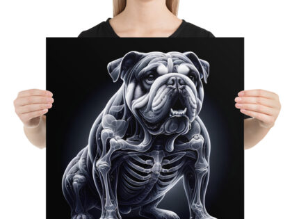 Anatomische Eleganz: Die Bulldogge im Röntgenblick Poster – Home & Living – klamottn.de Anatomische Eleganz: Die Bulldogge im Röntgenblick Poster – Home & Living – klamottn.de