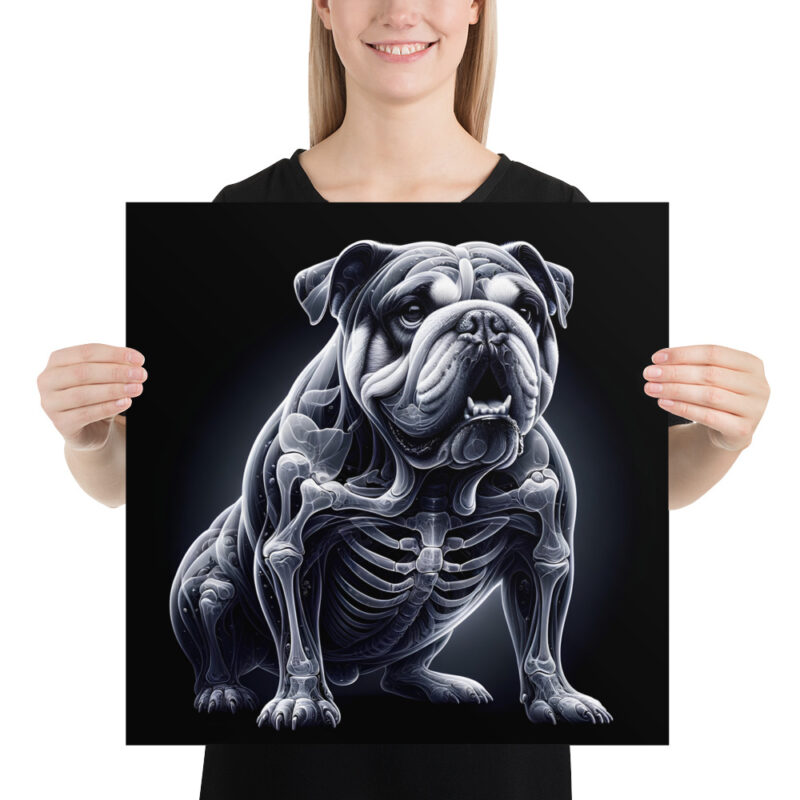 Anatomische Eleganz: Die Bulldogge im Röntgenblick Poster