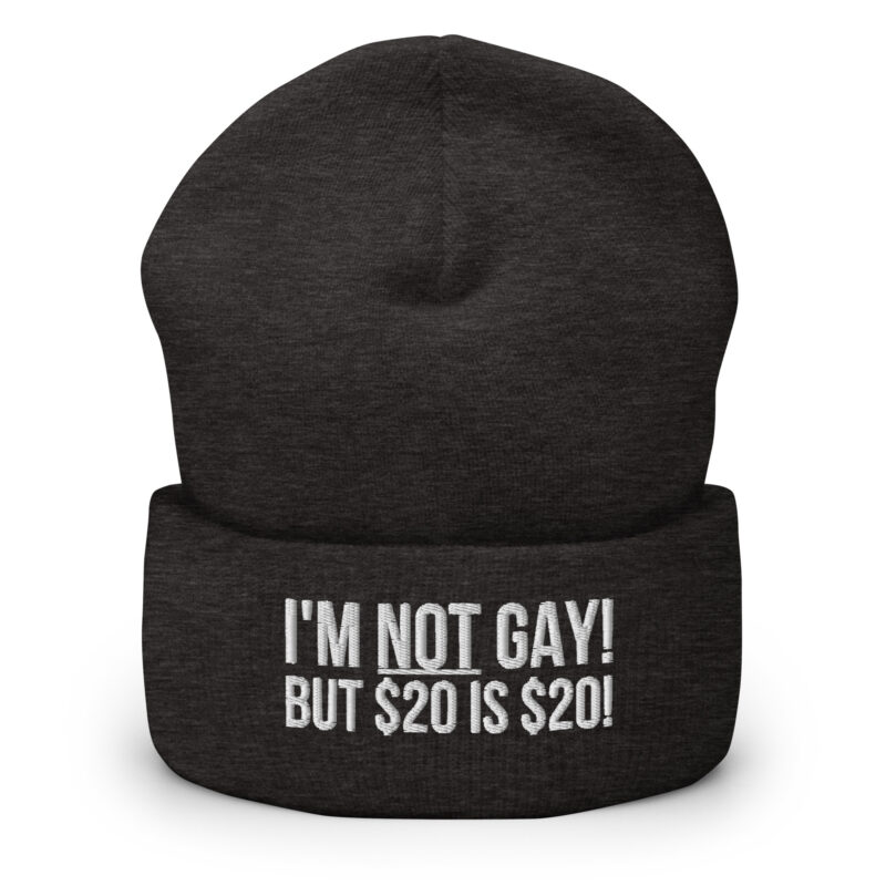 I’m not gay but $20 is $20 Beanie