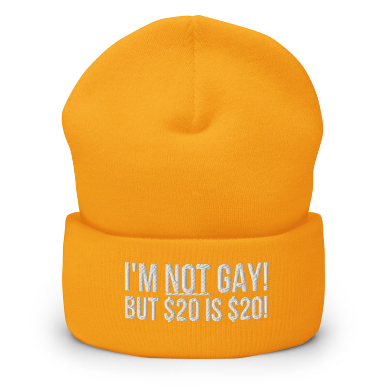 I’m not gay but $20 is $20 Beanie
