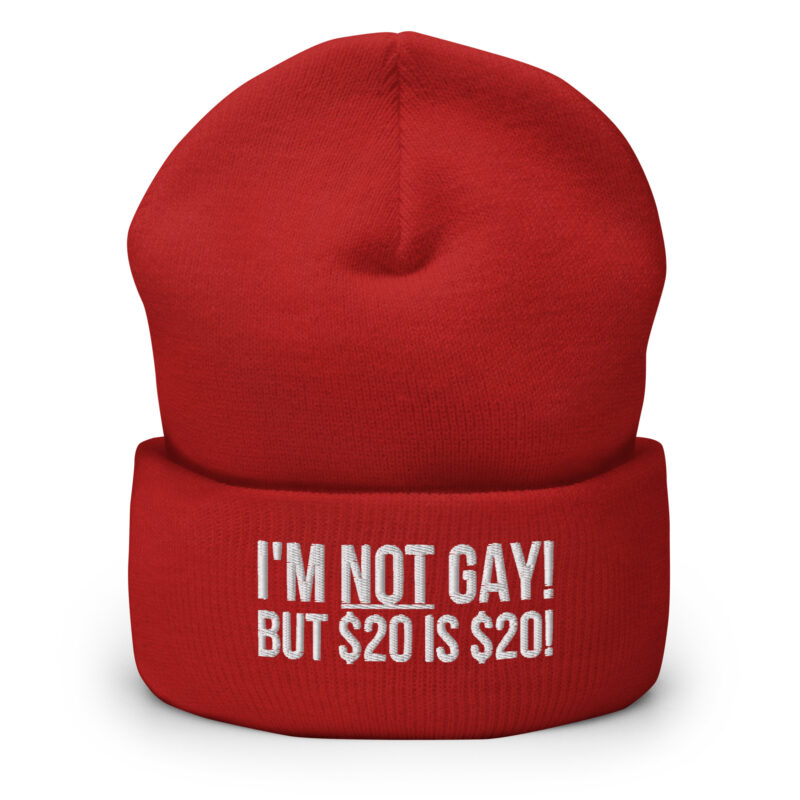 I’m not gay but $20 is $20 Beanie