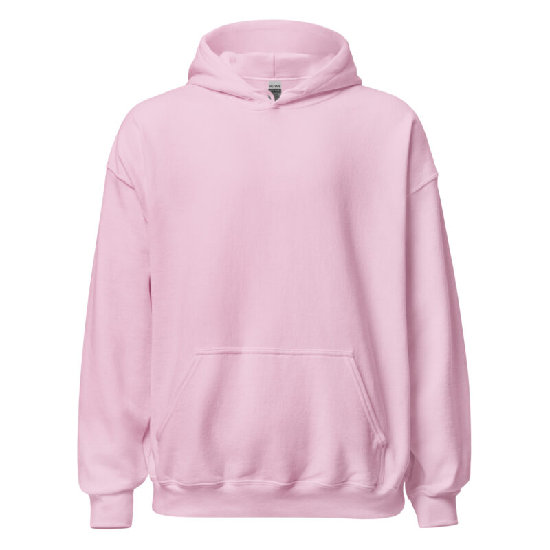 I’m not gay but $20 is $20 Unisex-Hoodie