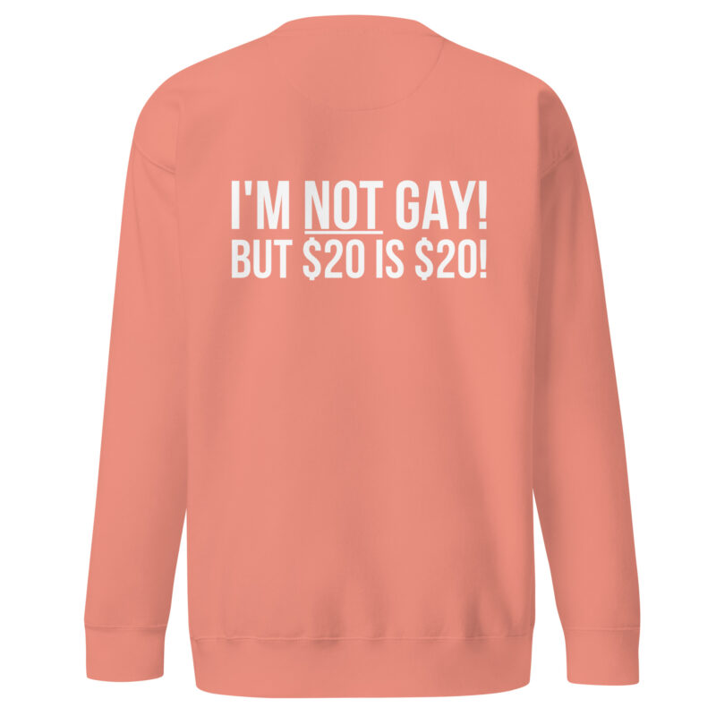 I'm not gay but $20 is $20 Unisex-Sweatshirt – Sweatshirts – klamottn.de