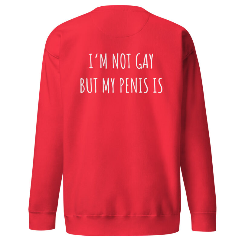 I’m Not Gay but My Penis Is Unisex-Sweatshirt – Sweatshirts – klamottn.de