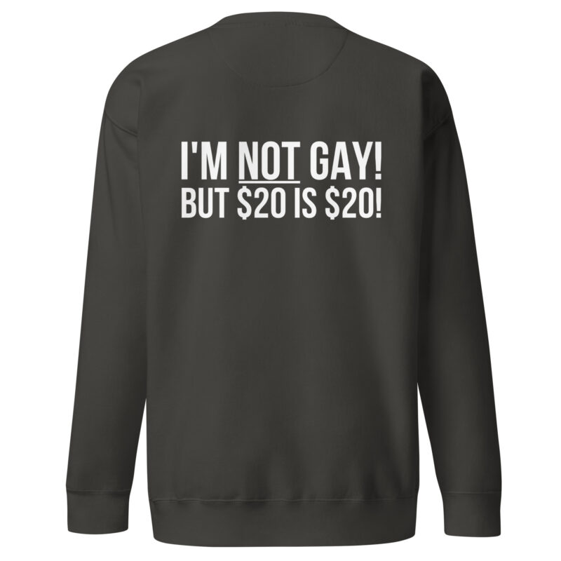 I'm not gay but $20 is $20 Unisex-Sweatshirt – Sweatshirts – klamottn.de