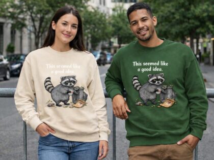 This Seemed Like A Good Idea Unisex-Premium-Pullover – Sweatshirts – Klamottn™